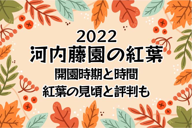 北九州の紅葉22おすすめ 穴場は河内藤園 開園時期や見頃 口コミもまとめました Small Life Hack